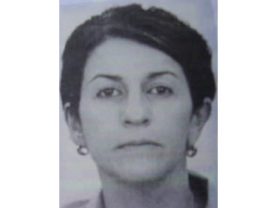 Foto do(a) Maria Aparecida Vitagliano Martins