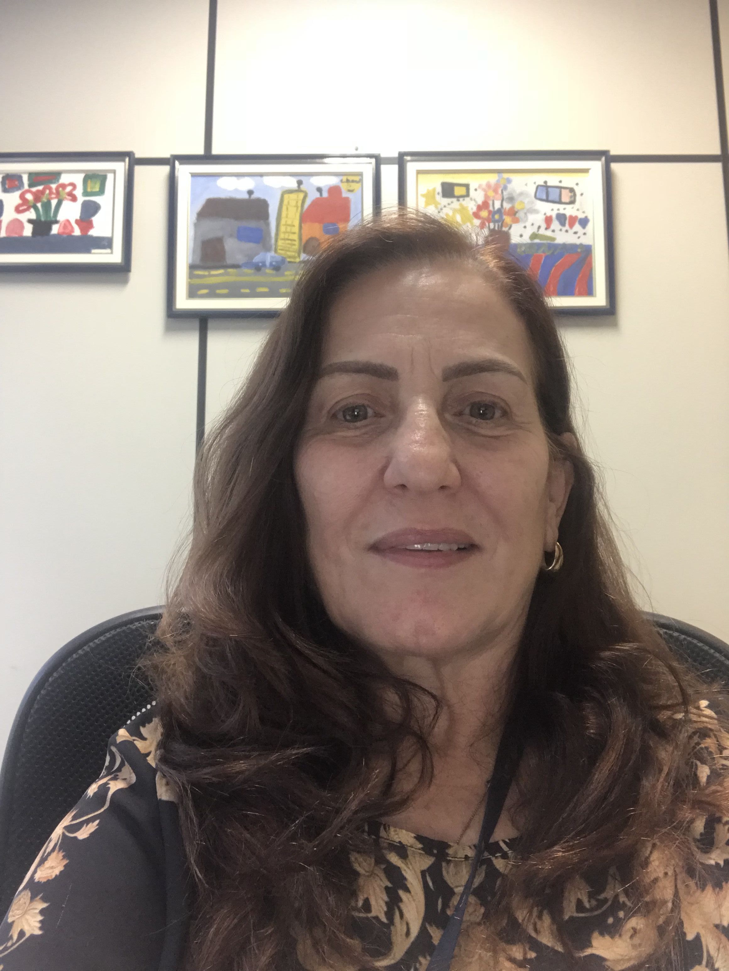 Foto do(a) Norma Sueli Pinheiro Modolo